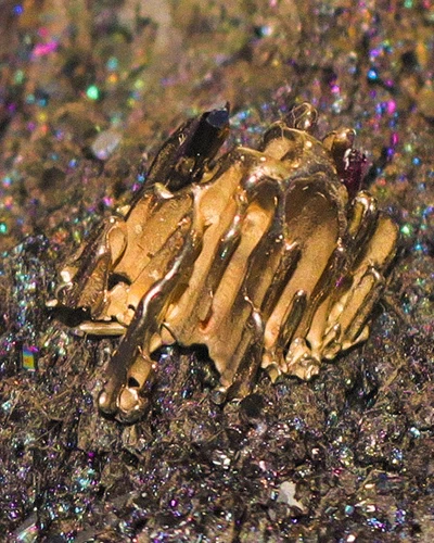 Metamorfosis - Imagen 3